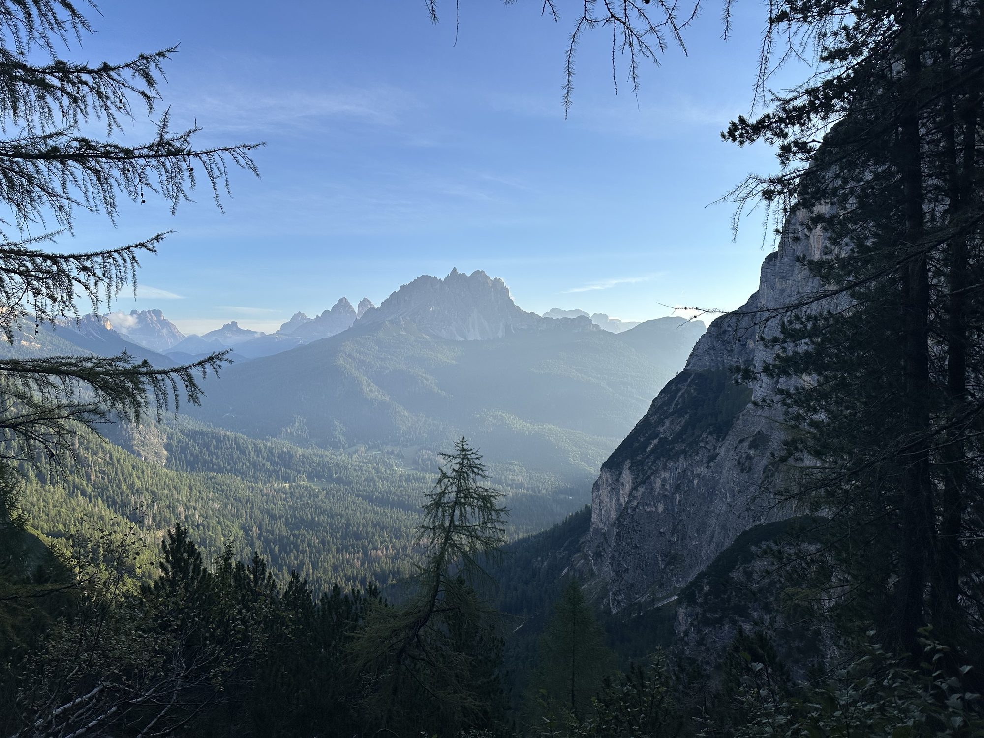A jagged Dolomite peak above a forested valley in warm evening light